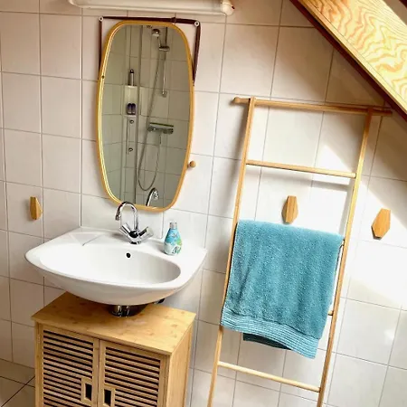 Blauvogel 4 Hasselfelde