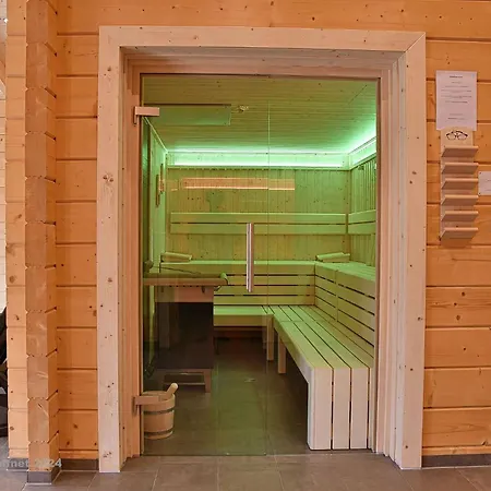 Blauvogel 4 Hasselfelde